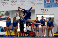 WHS Gymnastics vs Shrewsbury Gymnastics